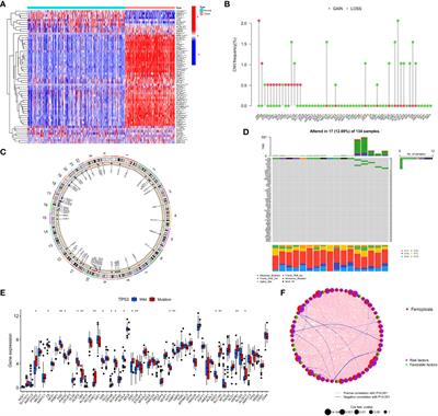 Ferroptosis-related molecular patterns reveal immune escape, inflammatory development and lipid metabolism characteristics of the tumor microenvironment in acute myeloid leukemia
